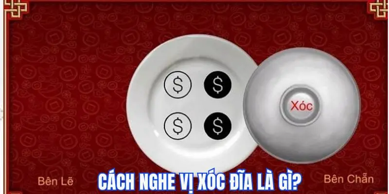 Tìm hiểu kỹ năng nghe vị khi chơi Xóc Đĩa