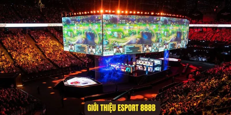 Giới thiệu Esport 888B